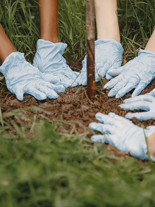Imagem de pessoas plantando